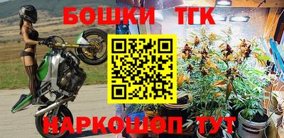 винт Ставрополь