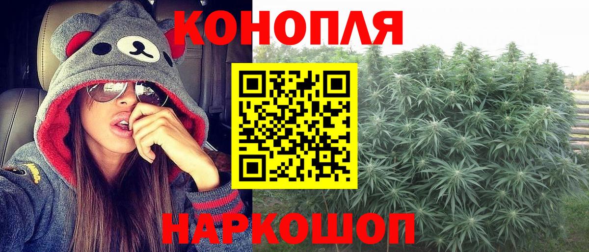 Конопля White Widow  МАРИХУАНА Bruce Banner  Вход с VPN  Марихуана план  Богородицк 